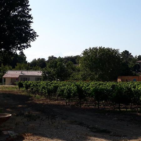 La Petite Maison Dans Les Vignes Chamaret Zewnętrze zdjęcie