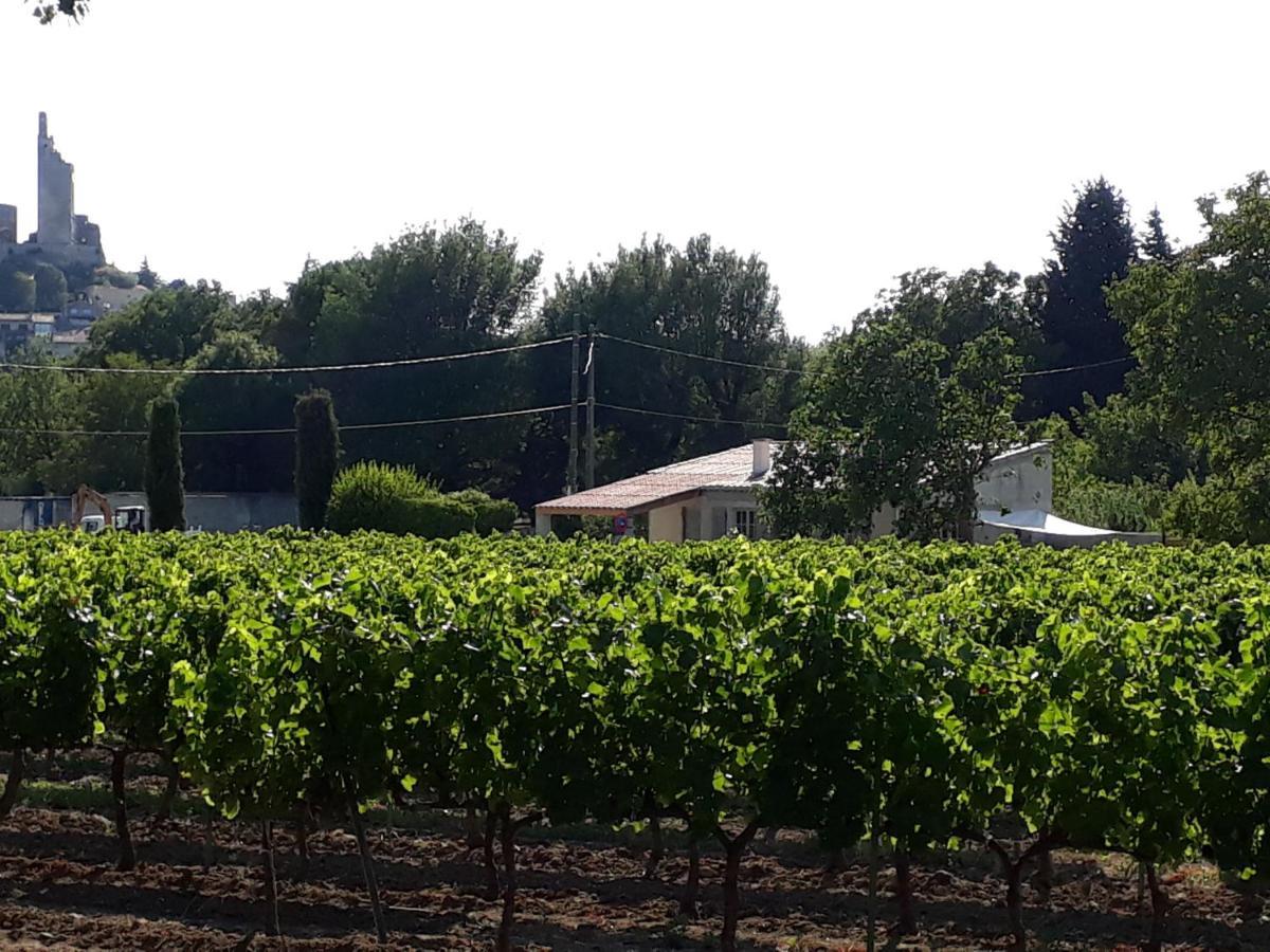 La Petite Maison Dans Les Vignes Chamaret Zewnętrze zdjęcie