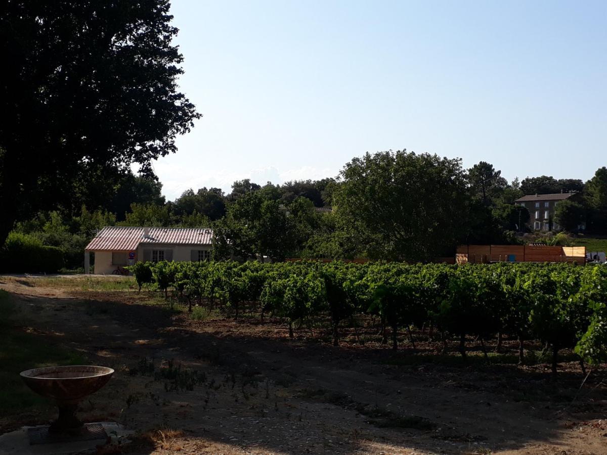 La Petite Maison Dans Les Vignes Chamaret Zewnętrze zdjęcie
