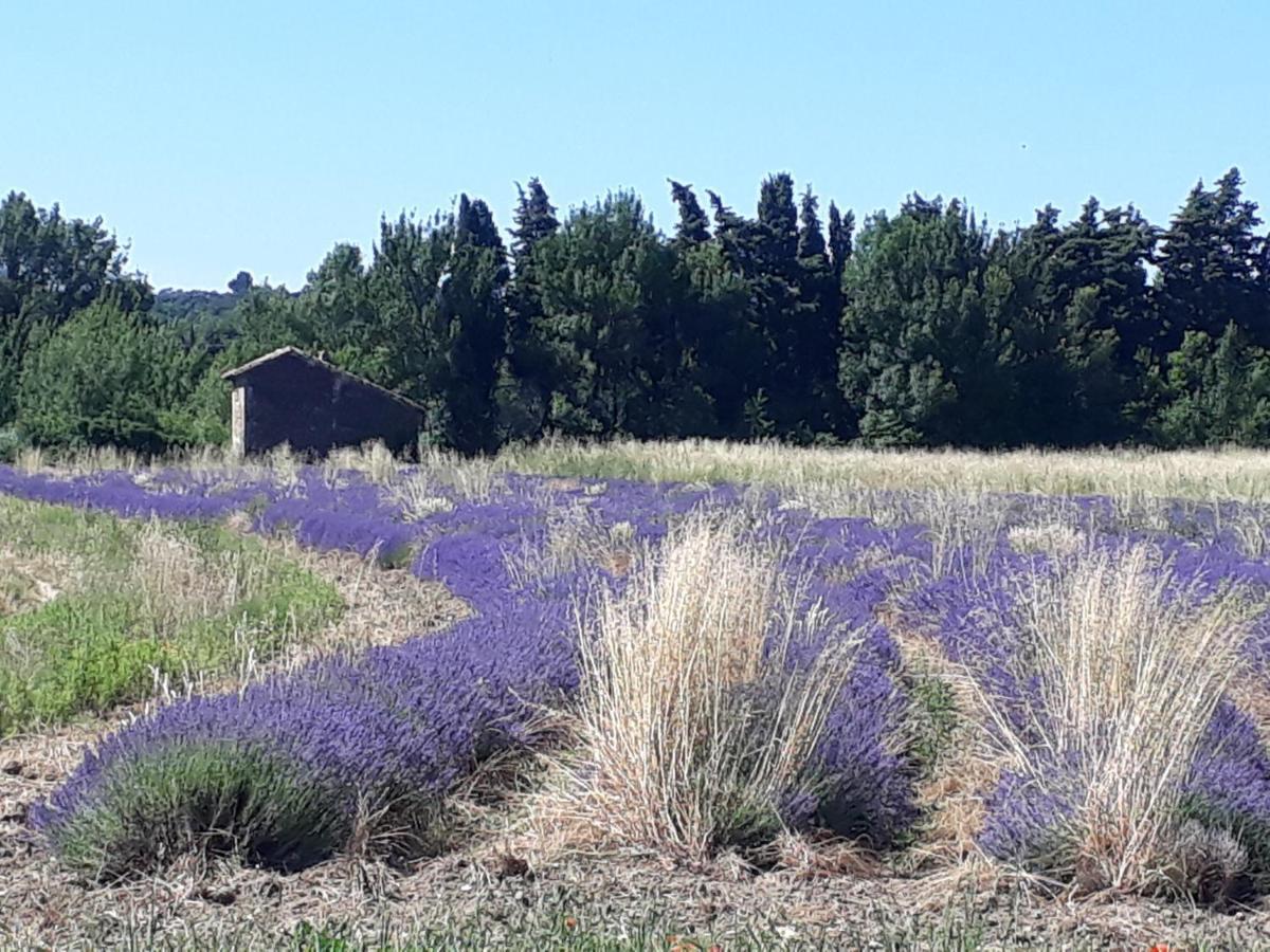 La Petite Maison Dans Les Vignes Chamaret Zewnętrze zdjęcie